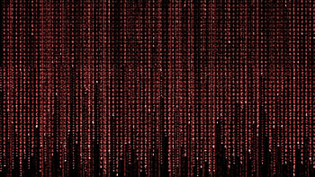 Animated Matrix Windows 10 afari HD wallpaper