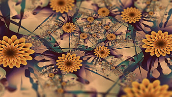 Abstract, Flowers, Patterns, Lines, Surface HD wallpaper