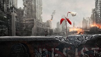 Republic of Gilead, The Handmaid's Tale HD wallpaper