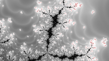 Fractal Art for your - Trippy, white, black, digital, psychedelic, trippy, Abstract, fractal, abstract black HD wallpaper