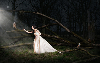 Night Owl, bird, fantasy, owl, forest, woman HD wallpaper