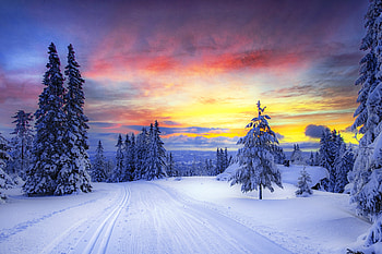 Snow, Tree, Winter, Landscape, Road, , Sunset HD wallpaper