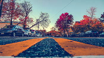 Vibrant autumn street view in Hackensack, NJ with cars and fall foliage. HD wallpaper