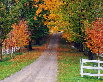 road to autumn, autumn, road, nature, lovely HD wallpaper