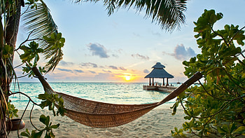Ultra beach, Beach wall murals, Tropical escape, Hammock relaxation HD wallpaper
