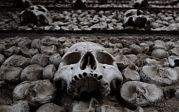 Dark fantasy death dead skulls skeleton halloween horror scary spooky creepy black white eyes face | | 26217 | UP HD wallpaper