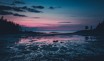Nature, Trees, Twilight, Lake, Silhouette, Dusk HD wallpaper