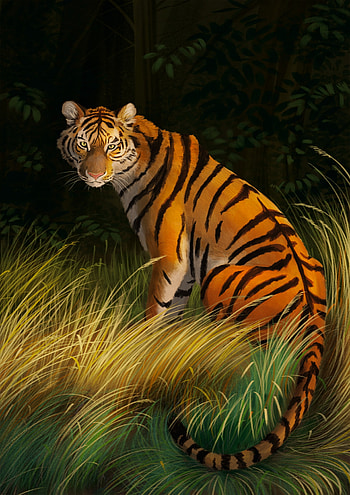 Grass, Art, Striped, Predator, Tiger HD phone wallpaper