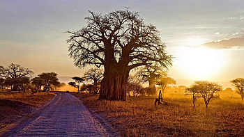 Africa, Stunning landscape , Natural beauty, Adventure travel HD wallpaper