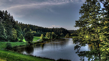 lovely lake in the park, path, trees, grass, lake, park HD wallpaper