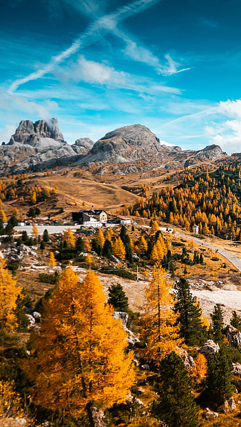 Italy, Autumn HD phone wallpaper