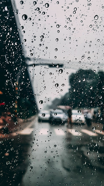 Drops, Rain HD phone wallpaper