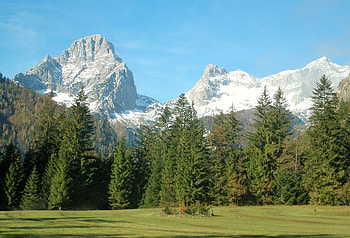 Nature, Trees, Grass, Mountains, Alps HD wallpaper