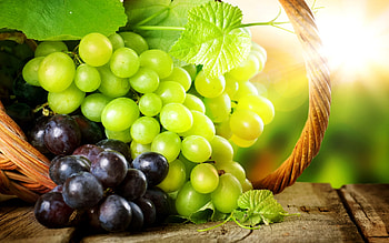 Grapes , High definition, Decorative background, Display beauty HD wallpaper