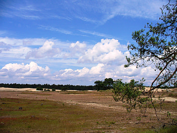 Shifting sand areas in the Netherlands HD wallpaper