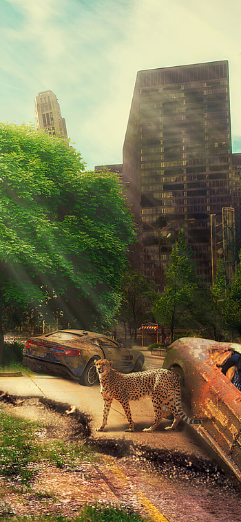 Apocalypse art, XS HD phone wallpaper