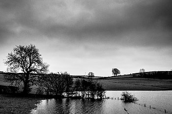 Nature, Water, Trees, Coast, Bw, Chb HD wallpaper