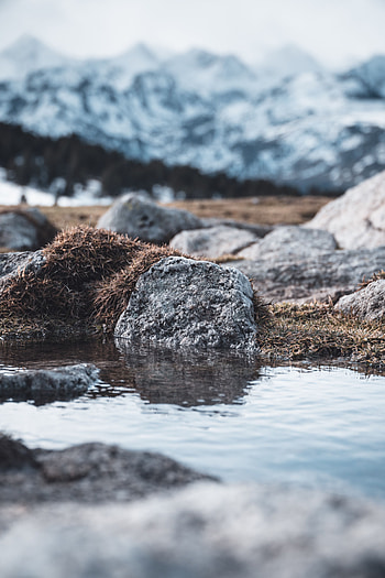 Nature, Water, Grass, Stones HD phone wallpaper
