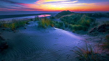 Dunes in the Netherlands, Ameland, sand, colors, clouds, landscape, trees, sky HD wallpaper