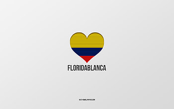 I Love Floridablanca, Colombian cities, Day of Floridablanca, gray background, Floridablanca, Colombia, Colombian flag heart, favorite cities, Love Floridablanca HD wallpaper