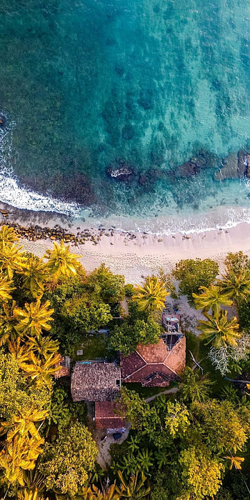 Asian resort island, Forest's tranquility, Relaxing getaway, Serene HD phone wallpaper