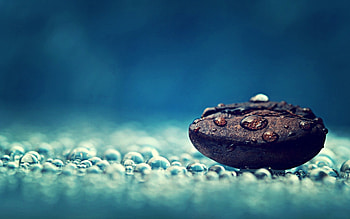 Coffee bean water drops close-up macro graphy HD wallpaper