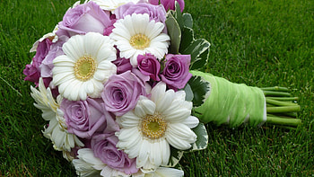 Flowers, Grass, Bouquet HD wallpaper