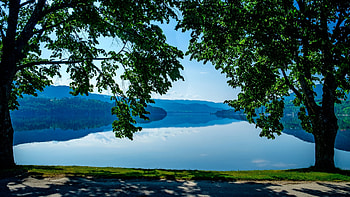 Heddalsvatnet Lake, Telemark, Norway, landscape, water, tree, reflections, leaves HD wallpaper