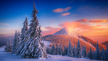 Snowy Pine Trees And Mountains , snow, trees, mountains, nature HD wallpaper