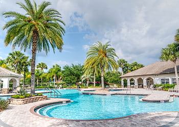 Idyllic tropical resort featuring palm trees, tranquil poolside setting, and relaxing vacation vibes. HD wallpaper