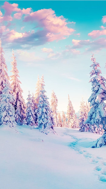 Winter Background, Winter, Background HD phone wallpaper