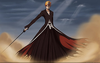 ICHIGO´S BANKAI!!!, bleach, bankai, ichigo, hollowfication HD wallpaper