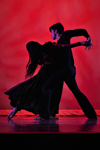 Pasodoble, Dance Magnet Lee High School, Huntsville City Schools HD phone wallpaper