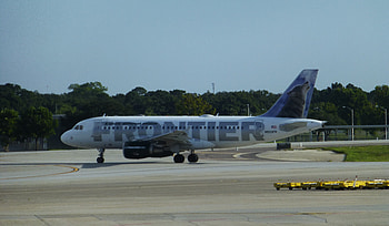 Animal Jet, jet, plane, jet airplane, aircraft HD wallpaper