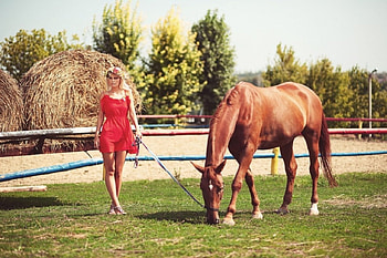 ~Cowgirl~, horse, cowgirl, blonde, grass, dress, fence, hay, trees, flowers, bales HD wallpaper