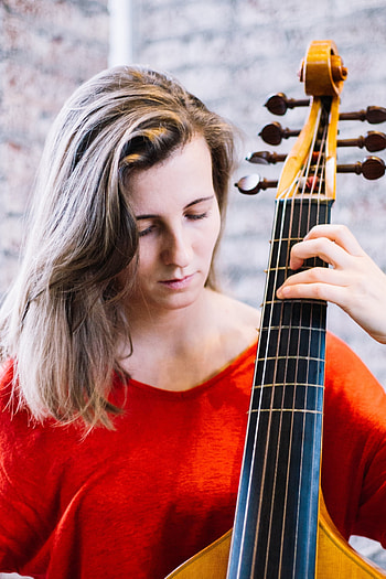 Viola da Gamba music, viola, Cello duet, Stringed harmony HD phone wallpaper