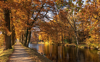 Park by River, river, avenue, path, park, autumn HD wallpaper