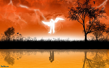 Love, life HD wallpaper