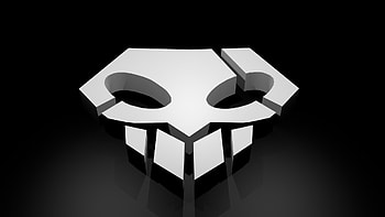 Bleach - Shinigami Badge, white, black, ichigo, skull, kurosaki, shinigami, bleach, badge, full HD wallpaper