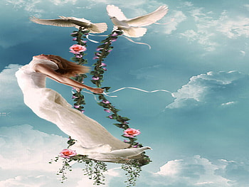 fly, swing, sky, flowers, dove HD wallpaper