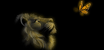 Lion, animal, butterflies, bonito, beautiful HD wallpaper