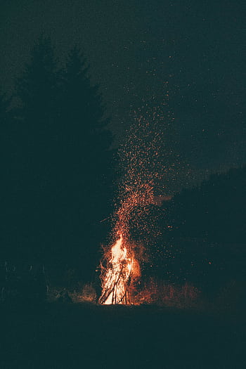 A serene campfire crackling under a starry night sky surrounded by forest. HD phone wallpaper