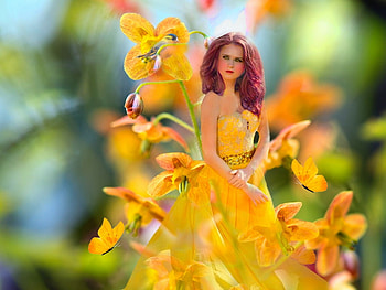 Delicate Yellow, yellow, green, bright, bold, flowers, girl, colorful, bird, vibrant, butterflies, vivid HD wallpaper