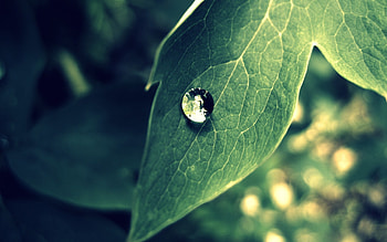 Nature graphy 2, nature, graphy HD wallpaper