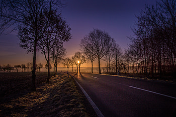 Yellow skyline, road, sunset, trees, highway HD wallpaper