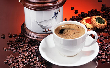 A Cup Of Java, java, cup of joe, coffee, drinks HD wallpaper