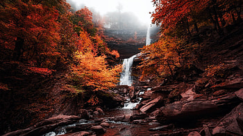 Autumn mist at Kaaterskills Falls, New York, river, rocks, usa, canyon, landscape HD wallpaper