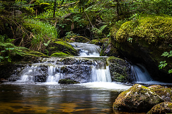 Plants, Nature, Water, Stones, Waterfall, Flow HD wallpaper