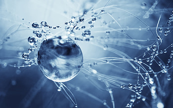 Water, Background, Drops HD wallpaper
