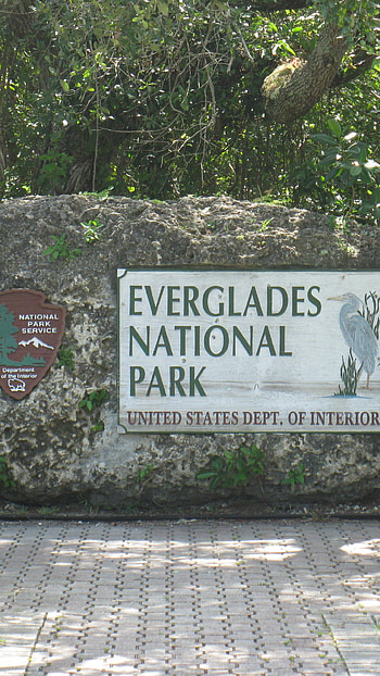 Everglades National Park, , Earth , Nature's beauty HD phone wallpaper